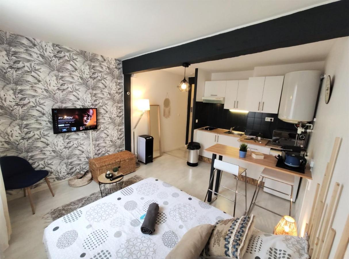 Apartamento Le Jasmin Des Carmes - Hypercentre - Netflix Toulouse Exterior foto